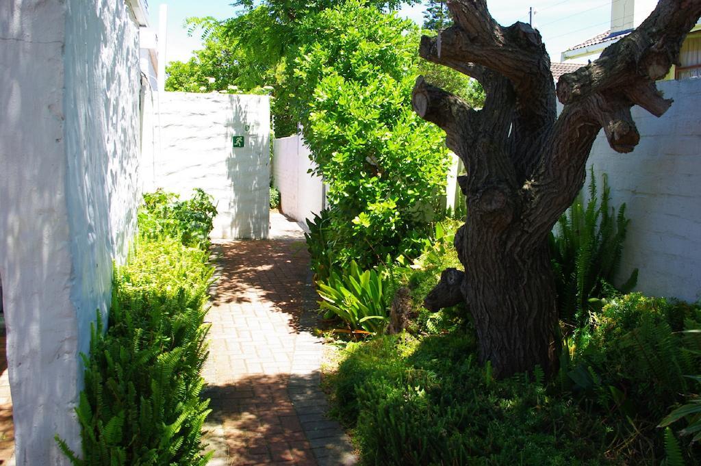Aqua Marine Guest House Port Elizabeth Exterior photo